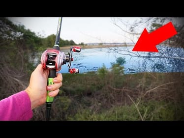How To Catch MORE Fish On BEDS (Spring Fishing!)