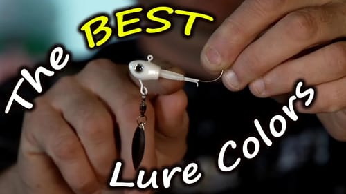 Bass Fishing Tips (Top 4 BEST Underspin Lure Colors)