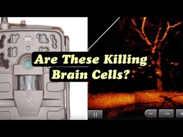 Trail Cameras And Livescopes Are Making Hunters And Anglers Less Intelligent
