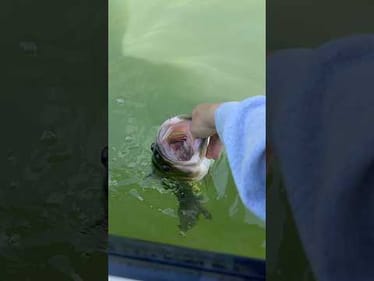 The Saddest thing in Life is Wasted Talent.. #BassUnion #BassUnionJigs #BassUnionGuideService