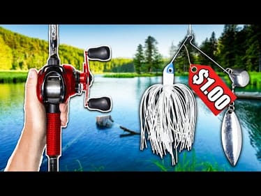 Can I Catch Fish With a $1 Spinnerbait?