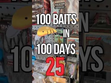 100 Baits In 100 Days - Day 25: Rare top water clown/rat lure from Japan #fishing