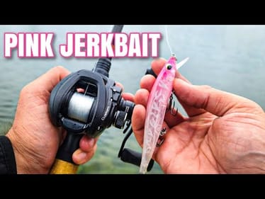 PINK Lures DO Catch Bass! (Bank Fishing a Jerkbait)