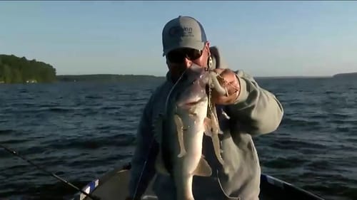 Has this ever happened to you? (Catch fish and lure)
