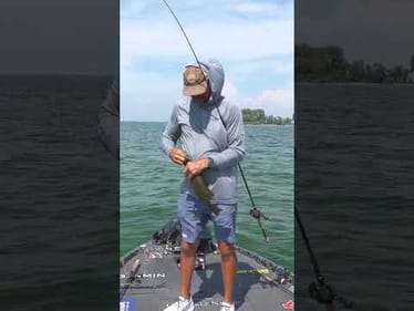 Want More Bites on a Spinnerbait? Change the Pace!