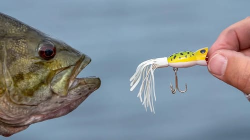 Micro Popper Fishing Challege
