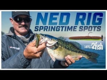 Targeting Prespawn Bass | Top Ned Rig Techniques