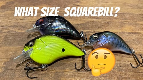 90% Of All Anglers Make This Squarebill Crankbait Mistake