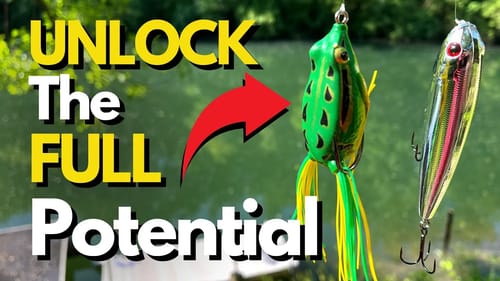 DON'T MISS This Topwater Opportunity | Efficient Topwater Fishing