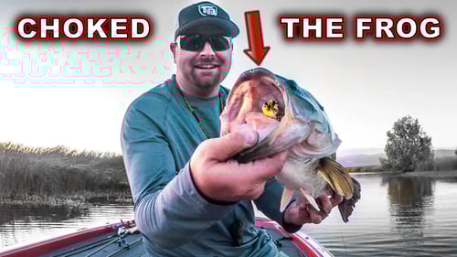 Early Summer Frog Fishing!