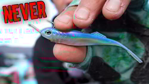 You'll NEVER Fish a small SWIMBAIT the same Again