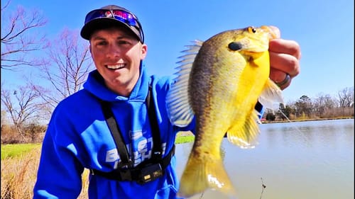 Catching HUGE BLUEGILL and CRAPPIE EARLY SPRING! (LOADED)