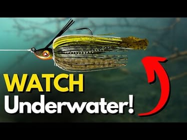 Never Go Bass Fishing Without This Lure (Have it Ready)