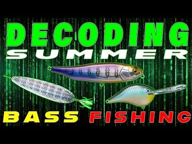 Decoding Bass Behavior: Summertime Struggles And Solutions
