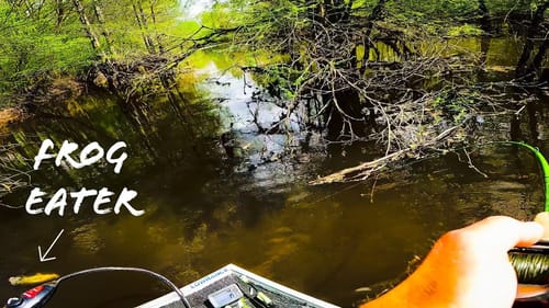 FLIPPIN' and FROGGIN' for Pre Spawn RIVER Bass || Spring Topwater Bass Fishing