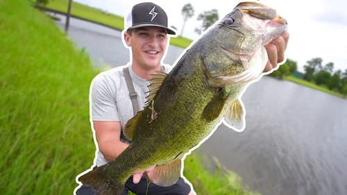 Bass Fishing CAN'T Get Better Than This... (Bank Fishing)