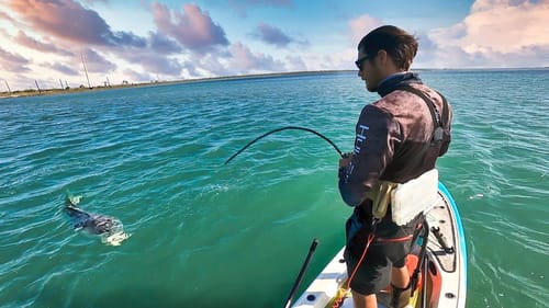 disaster while wade fishing - catch and cook release into grease