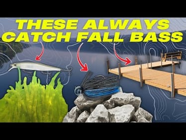 3 Foolproof Patterns to Catch Bass in the Fall Months