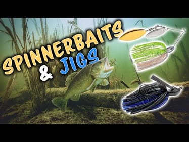 Pro's Fall Fishing Secrets: How to Fish Spinnerbaits & Jigs to CRUSH Bass in Any Cover!