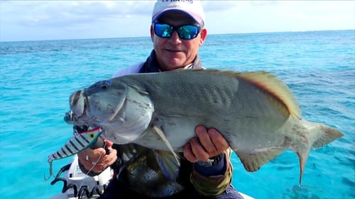TOPWATER AND REEF FISHING BUNKER GROUP
