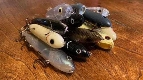 Everything You Should Know About Topwater Walking Baits