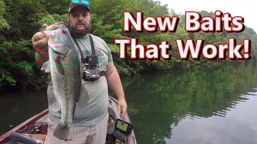 We Catch'em on New Topwater Baits