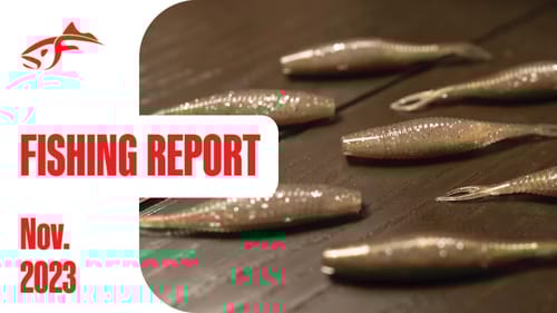Fishing Report Nov  2.
