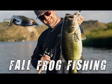 This Japanese Frog Dominates in the Fall!!! Best Frog Ever Made???