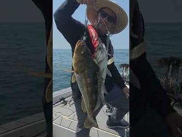 Saltwater Bass Fishing Is Dope