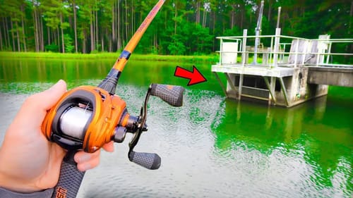 RECORD Day of Fishing a TROPHY Pond! (GIANTS)