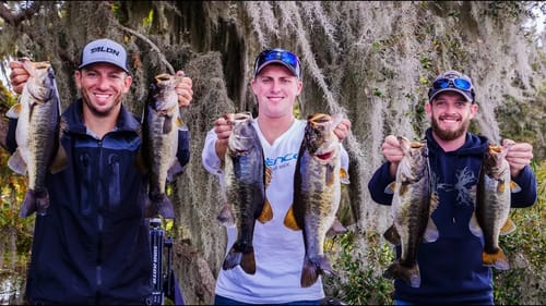 WINTER Fishing In FLORIDA! I Need To Move South! (Amazing Day)