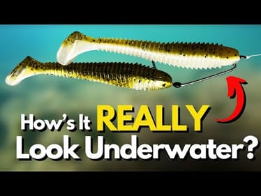 SEE The Double Swimbait Rig UNDERWATER! (What REALLY Happens?)