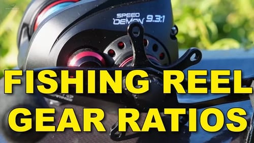 All About Fishing Reel Gear Ratios: The Definitive Guide | Kastking | Bass Fishing