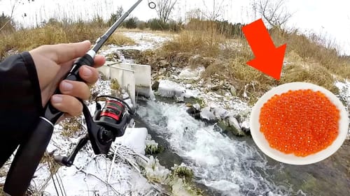 Fishing a TINY Stream w/ NASTY Eggs!!!