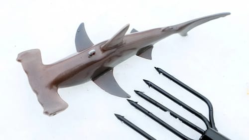 Making a Hammerhead Shark Ice Fishing Decoy