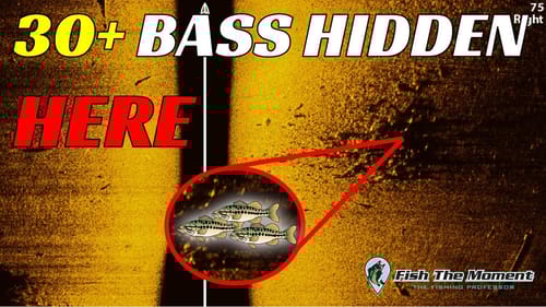 The Truth About Fish Finders No One Will Tell You | #Catch15