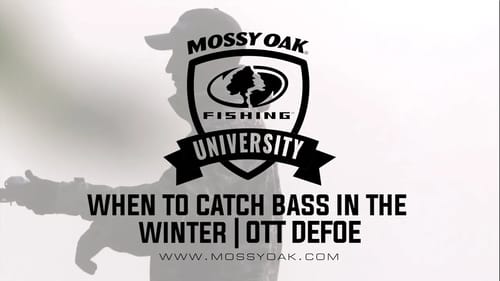 When to Catch Bass in the Winter   Ott DeFoe Fishing Tips