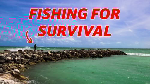 7 Days Only Eating What I Catch  | Original Film