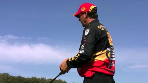 Decision Making and Chances in Fishing