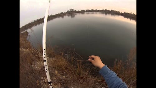 Sanger Pond Bass Fishing