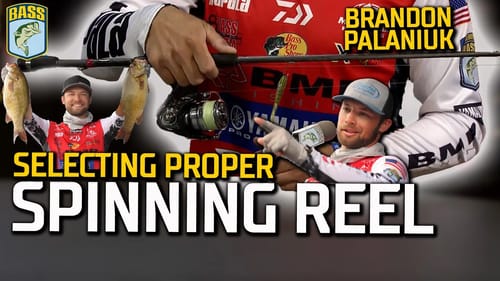 How Brandon Palaniuk selects the PERFECT spinning reel