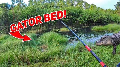 Face to Face w/ MASSIVE Gator While Fishing TINY Canal (CLOSE CALL)!