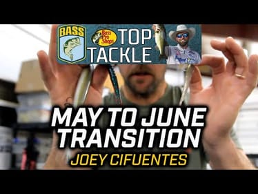 Where are the fish in late May and early June?
