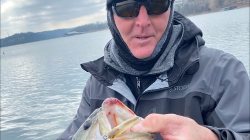 Pro Secrets For Not Losing Bass On Treble Hooked Lures