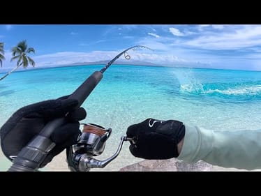 Solo Fishing TWO Islands – Monster Fish Challenge!