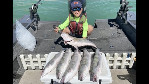 40+lbs of Striper!! (Big Striper at Castaic Lake)