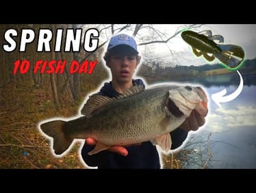 FISHING For Early SPRING BASS! || They Couldn't Resist This LURE!