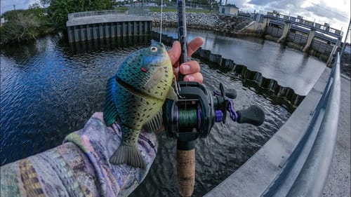 My First Time Fishing a Spillway