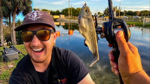 I Caught A Monster! || Fishing Giant Swimbaits In Public Water Pays Off Big!