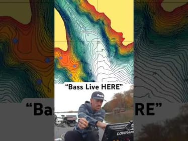 The Secret Winter Bass Bait! 👀